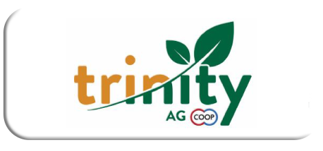 trinitybutton2025